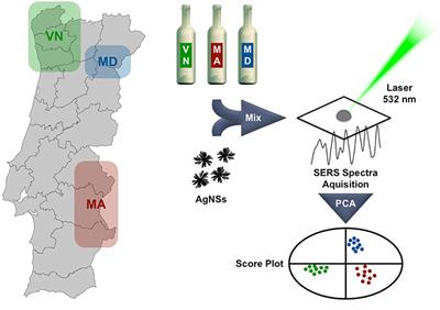 Expedite SERS Fingerprinting of Portuguese White Wines Using Plasmonic Silver Nanostars